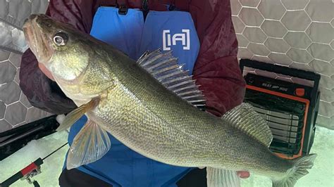 Devils Lake Fishing Report: 3-26-2024 Angling Edge Buzz