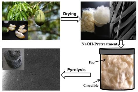 Biobased Kapok Fiber Nano-Structure for Energy and Environment ...
