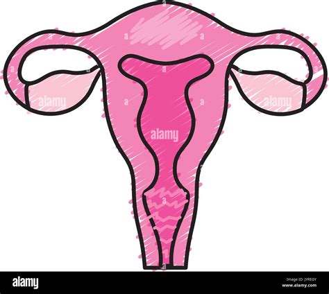 Ovary Section High Resolution Stock Photography and Images - Alamy