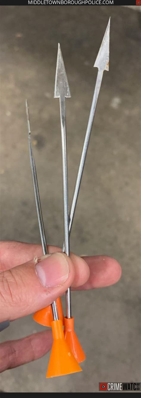 Blow darts used to kill bird in Middletown: police - pennlive.com