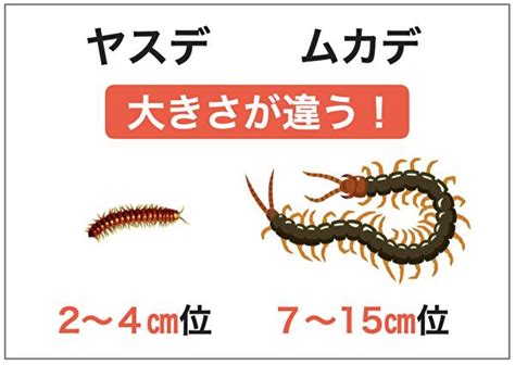 Alien UFO に対する画像結果