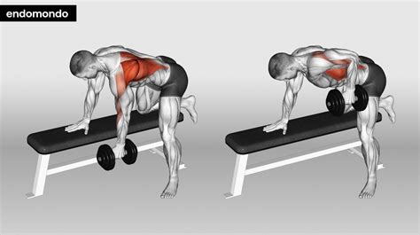 Shoulder Exercise 的图像结果