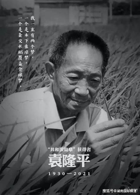 袁隆平的故事（一）：一位坦诚和直率的科学家