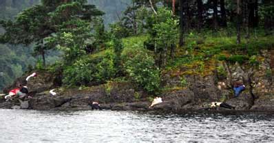 Terror strikes Norway, bomb blast, youth camp shooting kill 92 - India ...