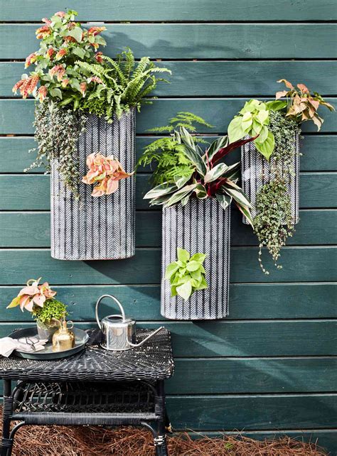 Outdoor Potted Plants Shade