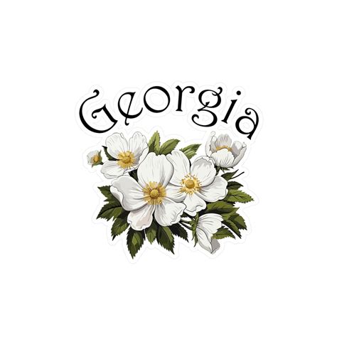 Georgia Cherokee Rose State Flower Vinyl Sticker Show Your Love for ...