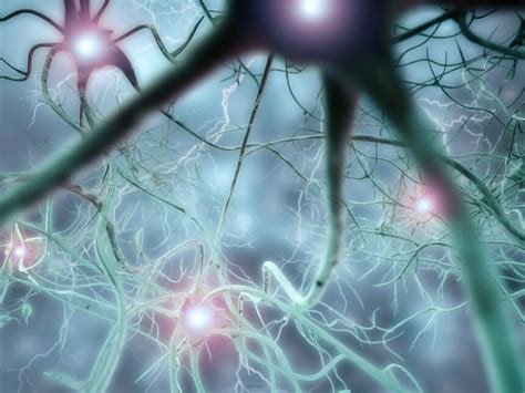 ¿Parkinsonismo o enfermedad de Parkinson? | Meer