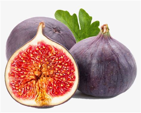 Fig Clipart Hd PNG, Cut Figs, Fig, Hand Painted Figs, Fruit PNG Image ...