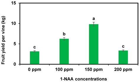 Insights on the Nutritional Profiling of Cantaloupe (Cucumis melo L ...