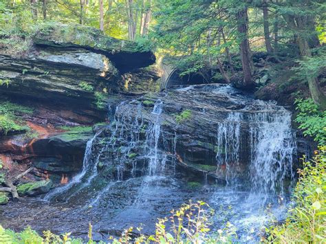 Cobblehaus at the Falls Brings Beer to Springfield Falls