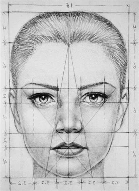 face drawing for beginners