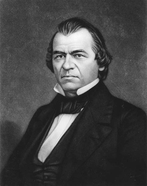 President Andrew Johnson 的图像结果
