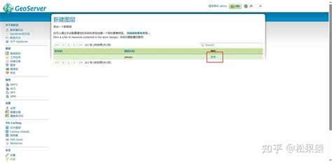Using GeoServer Plug Ins 的图像结果