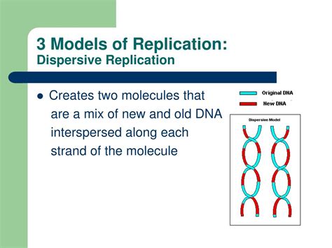 Models for DNA Replication 的图像结果