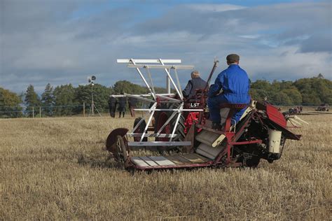 Image result for Craftopia Reaping Machine