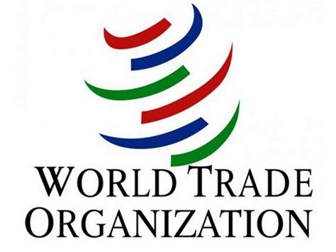 India to challenge WTO panel ruling on ICT import duties at appellate body