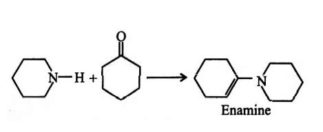 Among the following compounds which one will produce an enamine on ...