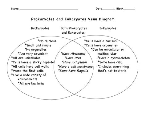 Eukaryotic Vs Prokaryotic Venn Diagram - Wiring Site Resource
