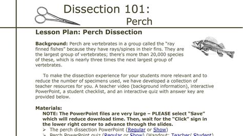 Image result for Perch Fish Dissection