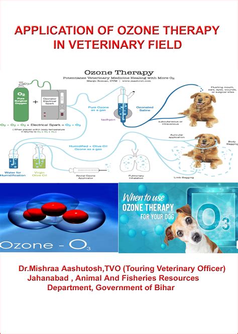 Ozone Therapy