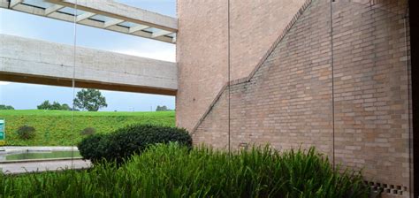 Corey Python Flask Tutorial 的图像结果