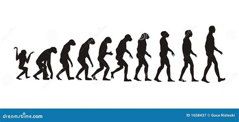 Evolution to Human 的图像结果