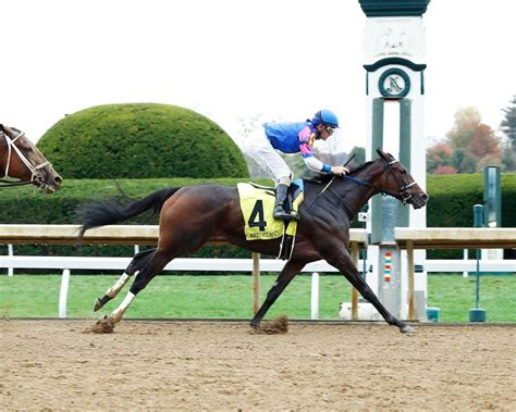 Best Bets & Quick Picks: Three Horseshoe Indianapolis stakes | TwinSpires