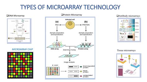 Microarray Machine 的图像结果
