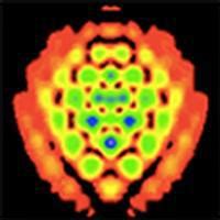 Optics Express Algorithm Template 的图像结果