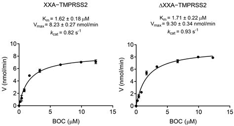 Improving Soluble Expression of SARS-CoV-2 Spike Priming Protease ...
