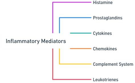 Mediators of Inflammation & Types | B.Pharma 2nd semester notes
