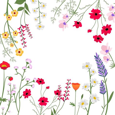 floral illustration background