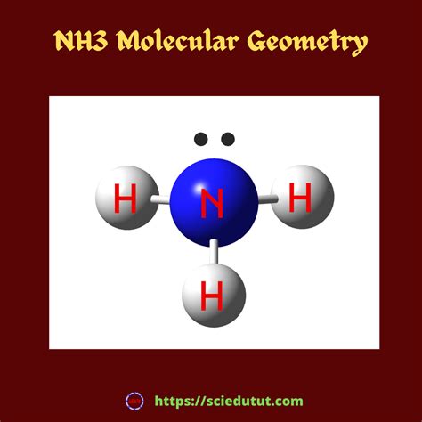 Molecular Structure Of Nh3