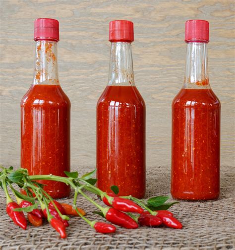 Hot Pepper Sauce Recipe - Quick & Easy! – Sandia Seed Company