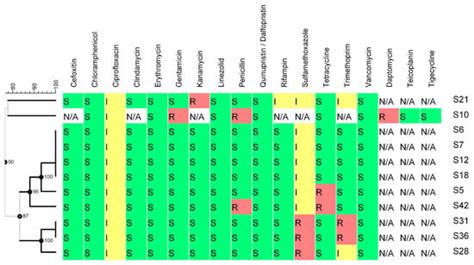 Genomic and Phenotypic Characterization of Mastitis-Causing ...