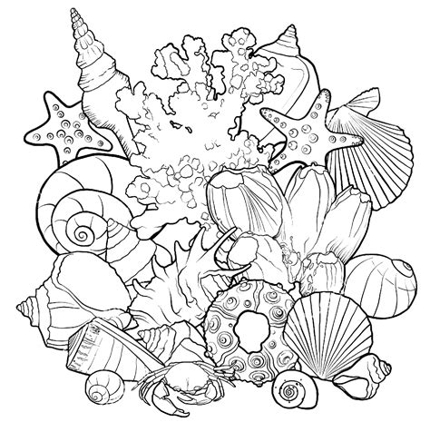 Shell coloring pages | Free printable coloring pages