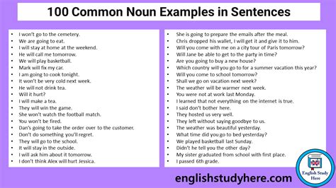 18 Examples of Noun Sentences, Noun Examples Sentences - English Study Here