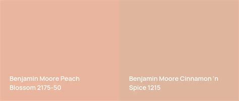 Benjamin Moore Peach Blossom 2175-50: 6 real home pictures