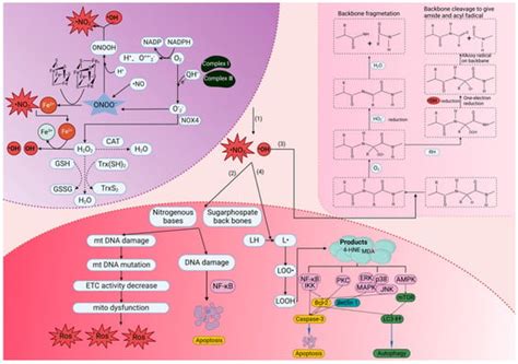 Novel Role of Molecular Hydrogen: The End of Ophthalmic Diseases?
