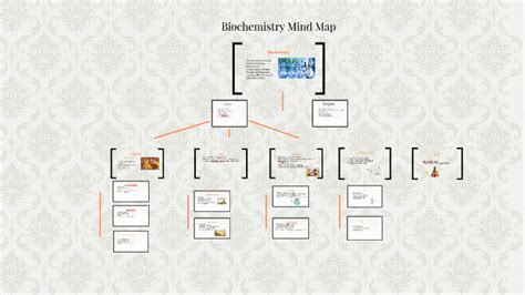 Biochemistry MindMap 的图像结果