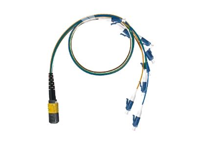 Image result for Live Server Python