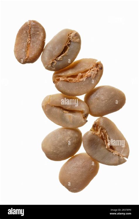 Image result for Java Sumatra Coffee Beans