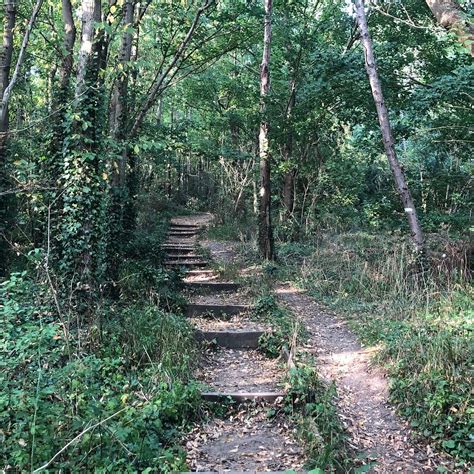 THE THICKET PATH (2026) All You Need to Know BEFORE You Go (with Photos ...