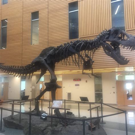 Montgomery College Zoom