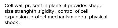 what is the most inportant role of cell walls don't google it apne se ...