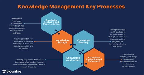 Knowledge Management Software Testing 的图像结果