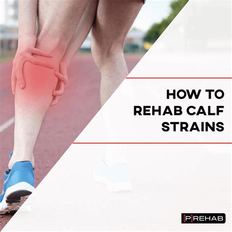 Calf strain exercises treatment considerations p rehab – Artofit