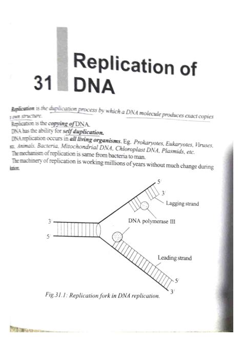 Protein synthesis - Metabolism - Studocu