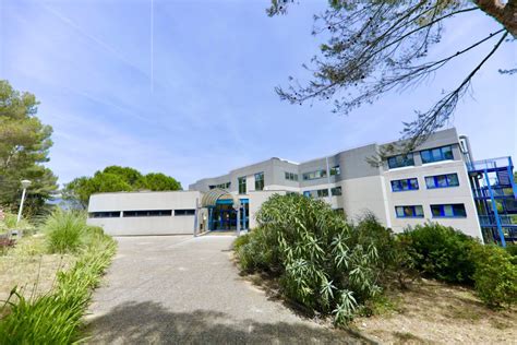 Microarray Data 的图像结果