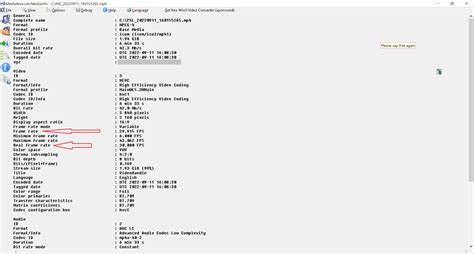 Frame Rate Difference Example 的图像结果